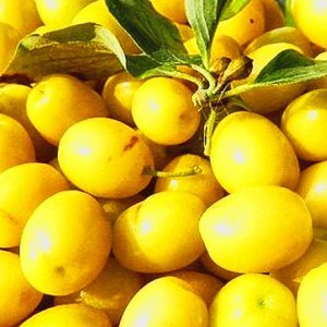 Кизил Алеша