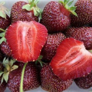 Клубника Рубиновый Кулон (5 Шт)